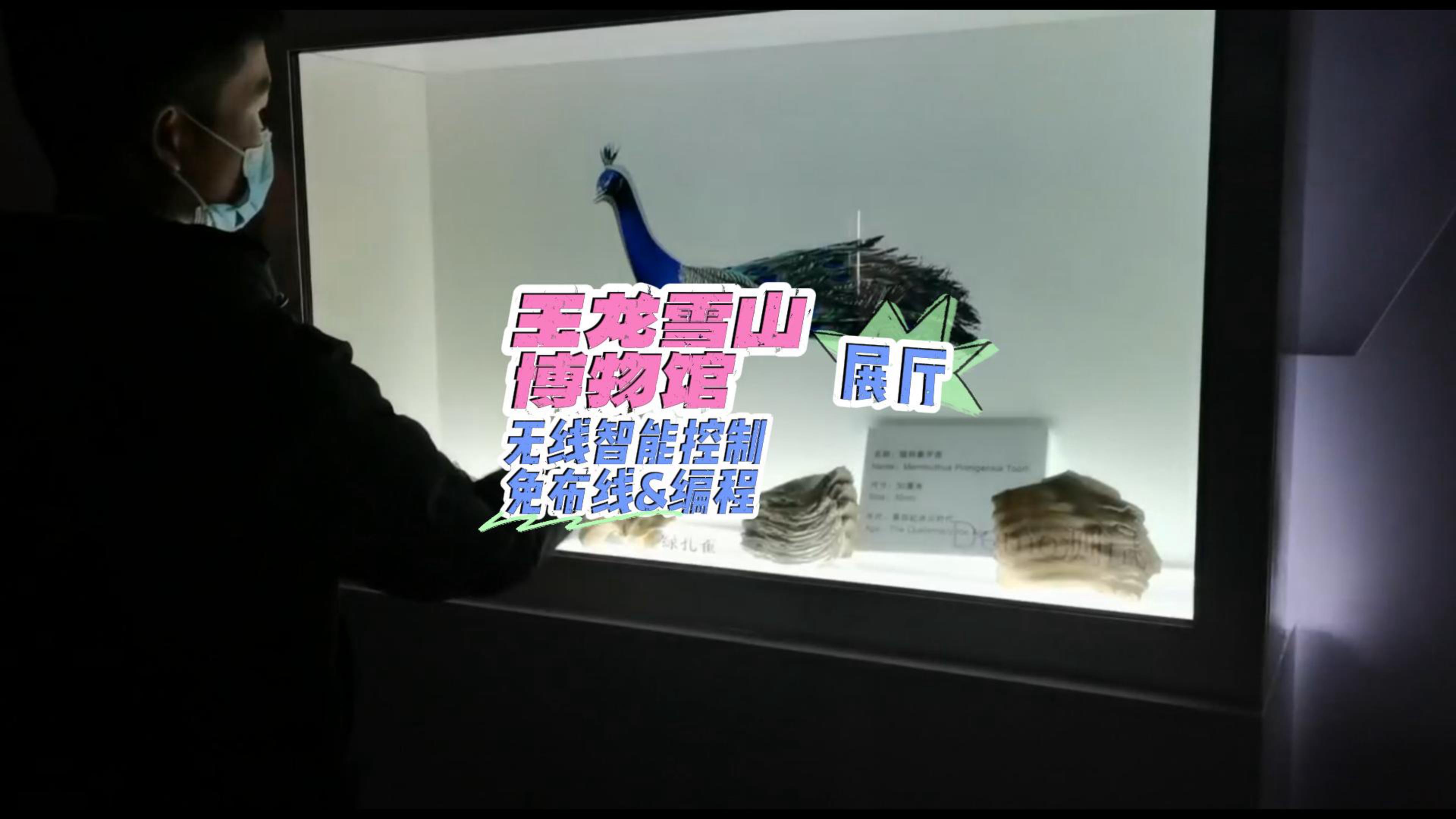 玉龍雪山博物館無(wú)線智能控制-封面.jpg
